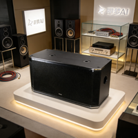 VAMAV Bocinas Profesional VSP15 Subwoofer de madera 15 pulgadas, 500W RMS, para eventos interior y exterior, sistema DJ