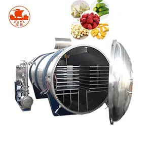 China Fruit and Vegetable and meat Vacuum Freeze Drying Machine Food Freeze Dryer