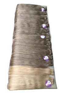 Tissage à la Machine Remy, meilleure vente, Extensions de cheveux humains à Double dessin, origine vietnamien, OEM ODM - Product Image 2