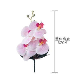 CallaFloral Phalaenopsis Orchidées Artificielles Couleurs Mixtes Lavables Décoration Maison Arrangement Mariage - Product Image 4