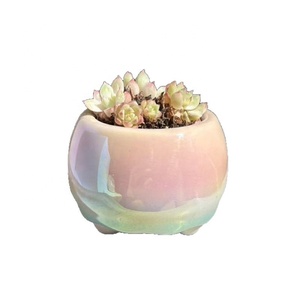 다육식물 화분 심플하고 귀여운 진주빛 환상 다채로운 전기도금 통기성 내식성 모던 화분 - Product Image 4