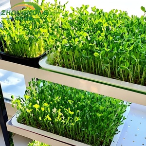 Serre agricole moderne intelligente complète pour semis, légumes, tomates hybrides, avec structure et panneaux en polycarbonate - Product Image 6