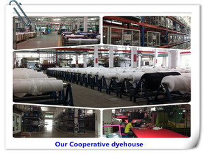 Vải Nhà Máy Tại Trung Quốc Vàng Và Bạc Lụa Siêu Mềm Lưới <span class=keywords><strong>6430</strong></span> Lưới Phía Dưới Áo Sơ Mi Xem Qua Thân Thiện Da Váy Cưới S - Product Image 4