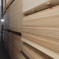 Kayu Lapis Basswood Berkualitas Tinggi untuk Grosir, dengan Ukiran Laser Tipis, Ketebalan 3mm hingga 25mm, untuk Kerajinan Pemotongan Laser, Interior Kendaraan@Atap Kereta