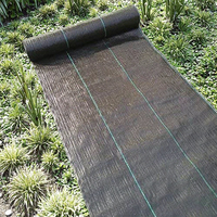 Toile anti-mauvaises herbes en PP tissé noir imperméable 120 140 GSM pour la protection des racines des plantes