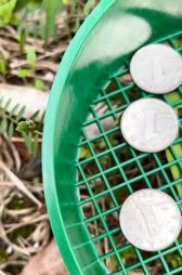 Plantation et filtrage du sol <span class=keywords><strong>Pierre</strong></span> gravier particules de sol tamis outil de tamisage du sol vert - Product Image 6