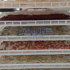 Secadores de Tomates Directo de Fábrica, Deshidratadores de Tomates, Equipos de Procesamiento, Maquinaria para Secar Tomates - Product Image 3