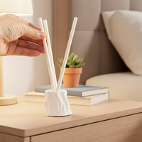 Nouveaux bâtons de diffuseur de fibre de roseau longue durée avec huiles essentielles sans ensembles de diffuseurs de parfum d'arôme liquide