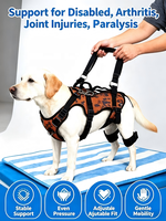 Harnais pour animaux de compagnie en nylon respirant, réglable et confortable, avec soutien de soulagement de la pression, style simple et motif imprimé