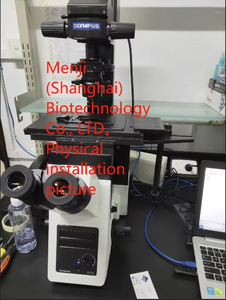 Microscope FLPH Fluorescence Observation Olympus IX73 - Product Image 2