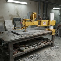 Machine de polissage manuelle à tête unique pour le profilage des bords et la finition miroir des dalles de granit et de marbre