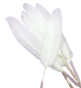 Bán Buôn Nhuộm Rửa Trắng Cánh Mallard Lông Ngỗng Bộ Lông Màu Xám Vịt Lông Cho Hat Phụ Kiện Nghệ Thuật Và Thủ Công Mỹ Nghệ Trang Trí Nội Thất - Product Image 1