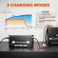 Chargeur de batterie LiFePO4 portable professionnel LiTime 12V 40A 14.6V avec indicateurs LED pour démarrage d'urgence