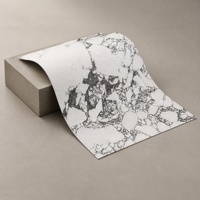 Revêtement mural moderne souple et texturé en quartz noir et blanc, imperméable et ignifuge, pour hôtels, gymnases et extérieurs