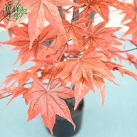 Arbre d'érable artificiel de 150 cm, grandes feuilles rouges dorées décoratives, sans entretien, pour projets commerciaux, vente en gros, présentation