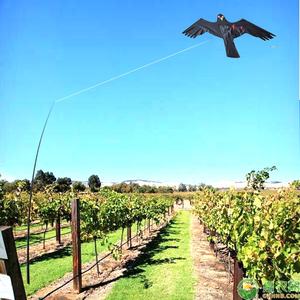 Vente en gros de faucon chinois en nylon, épouvantail pour oiseaux, perche télescopique de 7m, répulsif pour oiseaux à semi-conducteurs - Product Image 1