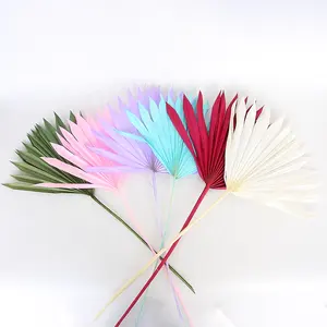 Wholesale New Home Decorative Dried Fan leaves 32cm Real Natural Dyed Handmade Palm Leaves