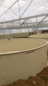 PP efficace recirculant les bases d'équipement de pisciculture de système d'aquaculture pour la pisciculture d'intérieur - Product Image 3