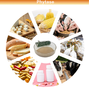 Polvere di Enzima Fitasi di Alta Qualità 50.000 U/g per Integratori Alimentari, Enzima Fitasi ad Alta Attività, Campione Gratuito, Spedizione Rapida - Product Image 3