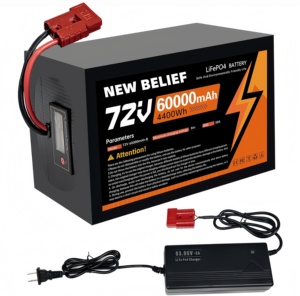 NOUVELLES BATTERIES LIQUIDES POUR MOTO NEW BELIEF 72V 12V 20Ah 48V 2000 Cycles 3500W Charge Maximale - Product Image 1