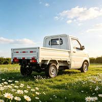Camion utilitaire confortable à cabine simple REACH T10, mini camion électrique avec écran central et port USB, véhicule de livraison quotidienne