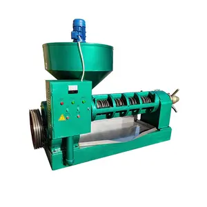 Plant Mill Grain Peanut Product Extruder Groundnut Expeller Price Vegetable Oil Process Machine for Sale
