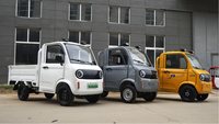Mini-camion électrique 1500W 4 roues pick-up électrique 2 places petit véhicule électrique voiture utilitaire