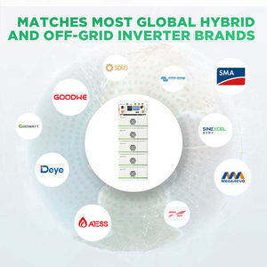 Hochwertige 16kWh Solar-Lithium-Batterie 257kWh Solar-Lithium-Batterie 51,2V LiFePO4-Batterie für Gewerbliche Nutzung - Product Image 5