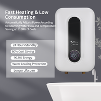 Chauffe-eau électrique instantané mural 220-240V 10KW, portable et léger, sans réservoir, avec LED, pour maison, garage, douche, camping-car, hôtel
