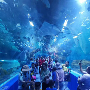 Acuario de Acrílico para Peces, Túnel Submarino, Super Grueso de 400 mm, Resistente al Agua y a las Infiltraciones - Product Image 2