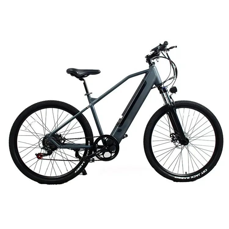 सस्ते बिजली Tricycle बाइक 26 इंच के साथ उत्पादन मोटर इलेक्ट्रिक बाइक, ebike इलेक्ट्रिक साइकिल, इलेक्ट्रिक साइकिल वयस्कों के लिए
