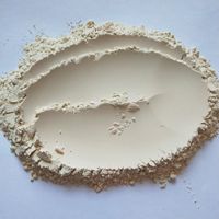 Poudre de Cordierite de Qualité Céramique, Poudre Minérale de Haute Pureté pour Matériaux Réfractaires et Céramiques