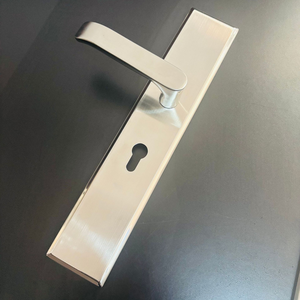 Fabricants vente en gros à bas prix poignée <span class=keywords><strong>de</strong></span> <span class=keywords><strong>porte</strong></span> <span class=keywords><strong>de</strong></span> sécurité poignée en acier inoxydable 304 double <span class=keywords><strong>action</strong></span> simple <span class=keywords><strong>action</strong></span> réglable - Product Image 4