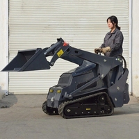 Mini-chargeuse compacte diesel EPA 18,2 kW Kubota avec pince hydraulique pour l'installation de roches dans les jardins