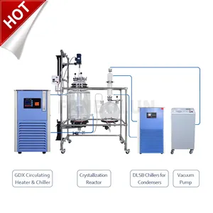 Industriële 200 Liter Jacketed Glas Decarboxylation Reactor