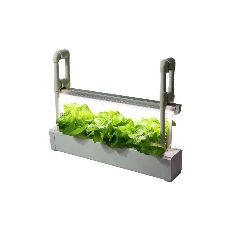 Kit de plantation hydroponique de jardin, boîte de plantation de plantes à spectre complet, lampe de culture de légumes de cuisine