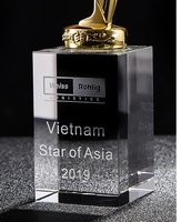Trophée en métal personnalisé avec logo gravé en or, argent et bronze, avec étoile en cristal, pour les compétitions d'entreprise, HBL OEM ODM