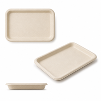 Plateau rectangulaire compostable en bagasse 8x5 pouces, en fibre de canne à sucre, pour sushis, apéritifs, brunch, traiteur et service