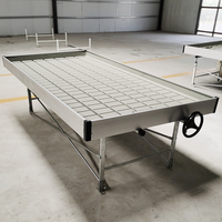 Table de culture hydroponique commerciale pour pépinière, système de marée basse, 4x8, avec bancs roulants sur rail
