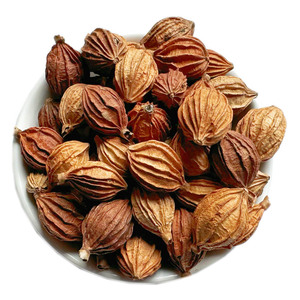 Épice simple herbesChina Amomum Fructus Amomi Cardamome parfumée pour cuisinier - Product Image 2