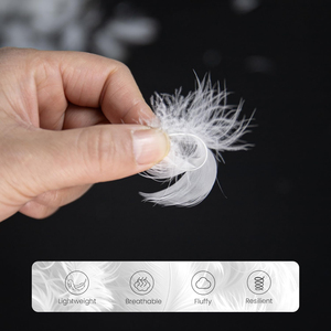 Plumas de Ganso Blancas al Por Mayor, Estándar Euroamericano, <span class=keywords><strong>Relleno</strong></span> <span class=keywords><strong>para</strong></span> Edredones, de Fábrica China - Product Image 1