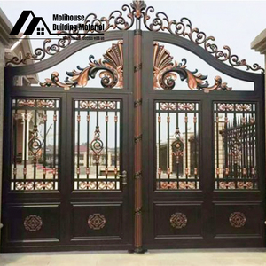 Precio <span class=keywords><strong>de</strong></span> mercado <span class=keywords><strong>Entrada</strong></span> Seguridad Puerta principal <span class=keywords><strong>de</strong></span> hierro Puertas delanteras exteriores <span class=keywords><strong>de</strong></span> hierro forjado para casa Villa - Product Image 5