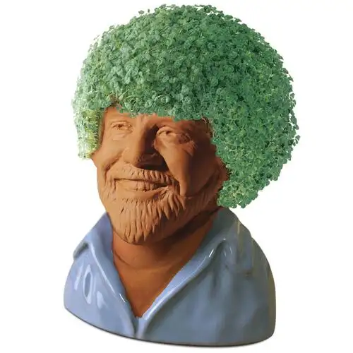 Yaşlı adam özel seramik Chia Pet Pot saksı ucuz Graines De Chia tohum fiyat