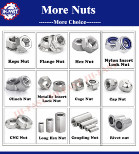 <span class=keywords><strong>Din985</strong></span> Din982 thép không gỉ 304 316 <span class=keywords><strong>Hex</strong></span> chống lỏng nylock Nylon chèn hạt M3 M4 M5 M6 M8 M10 M12 M16 tự khóa hạt - Product Image 6