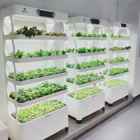 Jardinière hydroponique commerciale avec éclairage LED intelligent moderne pour la culture de micro-légumes et la plantation en serre de petites légumes