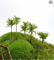 10 pièces de mousse de poteau séchée et préservée, coussin en forme de chignon, véritable mousse verte naturelle, kit de bricolage pour terrariums décoratifs, jardinage, art mural