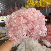 Vente en gros d'arrangements floraux pour la maison Décoration de mariage Grande fleur séchée d'hortensia Anna conservée