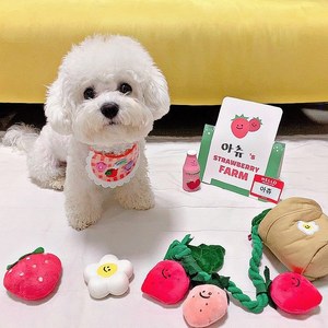 Ensemble de jouets pour animaux de compagnie en pot de fraises, style coréen, idéal pour Instagram, jouet de rangement pour nourriture, jouet qui aboie pour chien. - Product Image 2