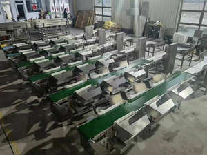 자동 전체 닭 무게 분류 기계 분류 기계 무게 등급 기계 컨베이어 벨트 분류 냉동 물고기 분류 - Product Image 5