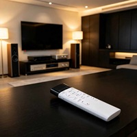 Pabrik OEM ODM JCXK Remote Control Home Theater 18 Tombol IR dengan Tombol Fungsi Kustom untuk Produsen Perangkat Audio